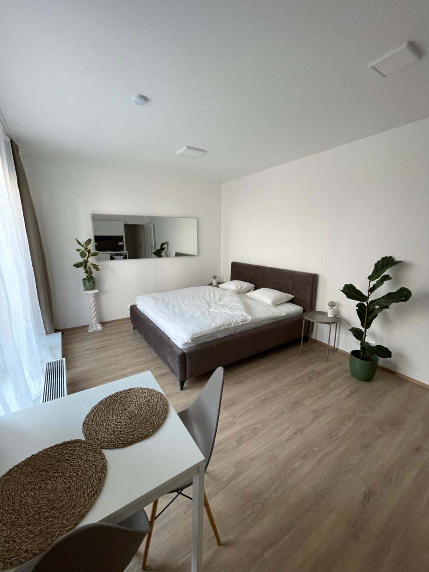 Apartament 1 *